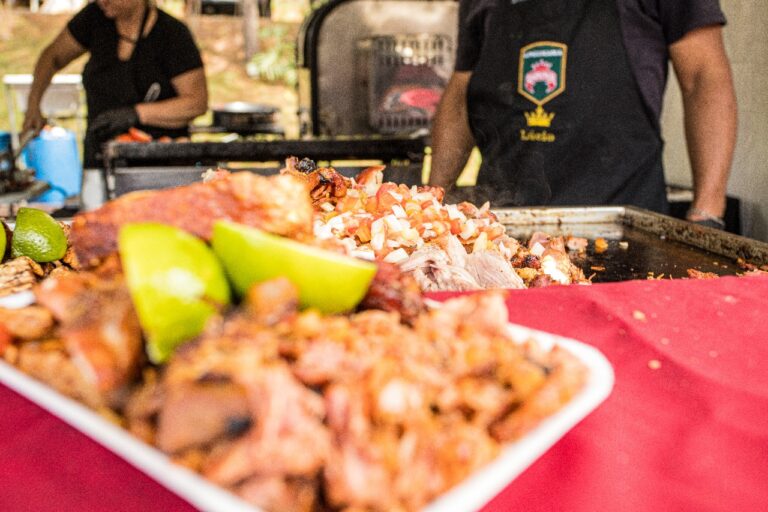 Festa Junina agita a Cantareira com música, comidas típicas e diversão gratuita para toda a família Festa Junina agita a Cantareira com música, comidas típicas e diversão gratuita para toda a família